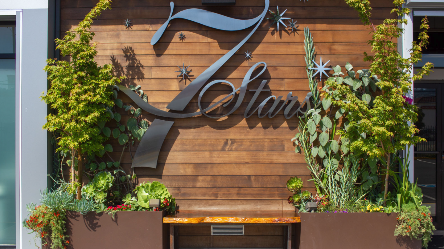 7 Stars Holistic Healing Center