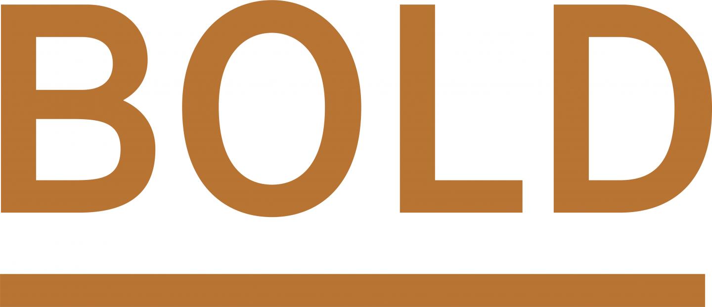BOLD Brian Orter Lighting Design 