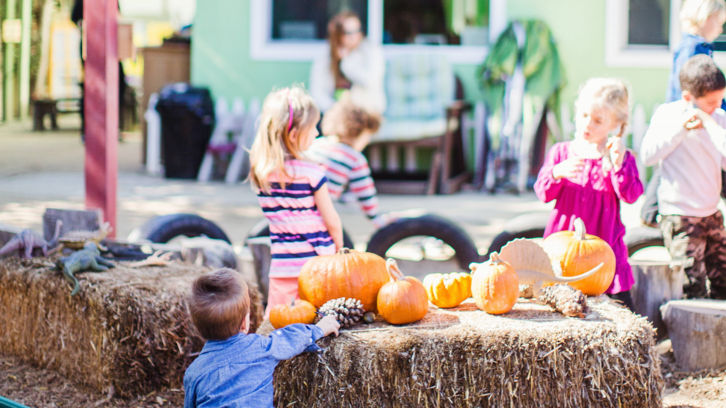 Green Beginning Community Preschool 