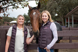 Starwood Equine Veterinary Services, Inc.