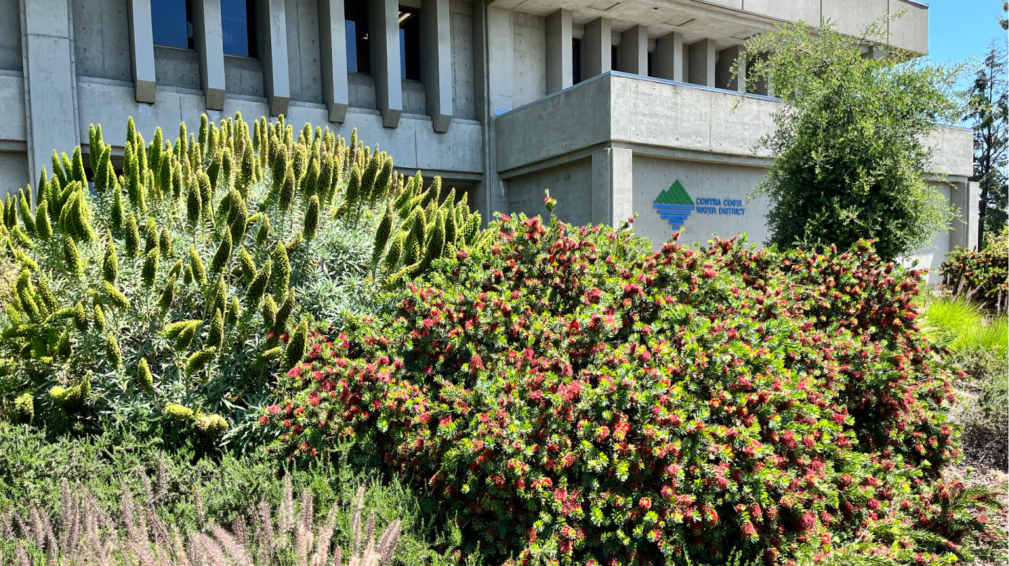 Contra Costa Water District - District Center Campus