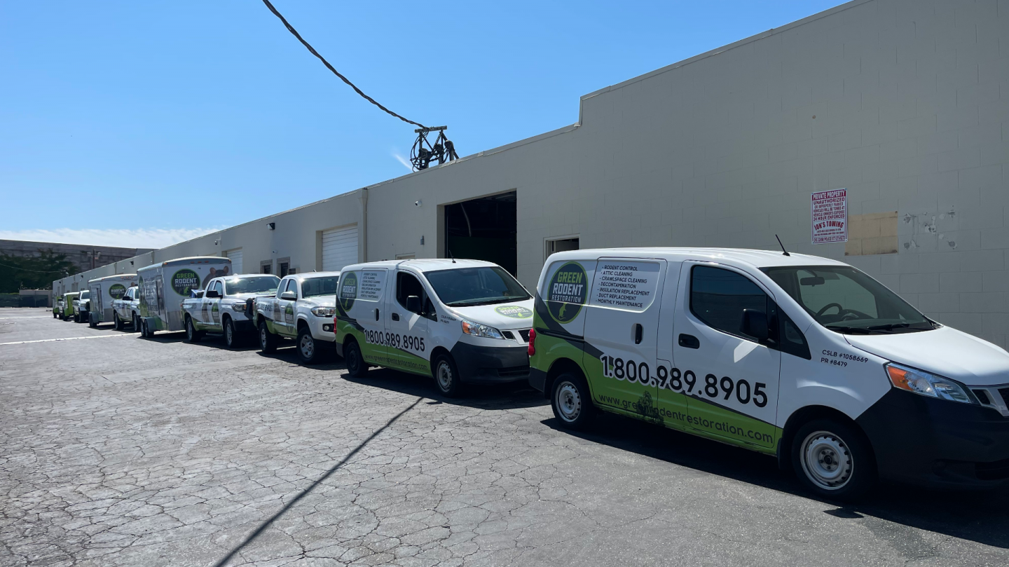 Green Rodent Restoration