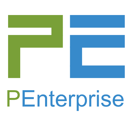 PEnterprise Consulting Services logo